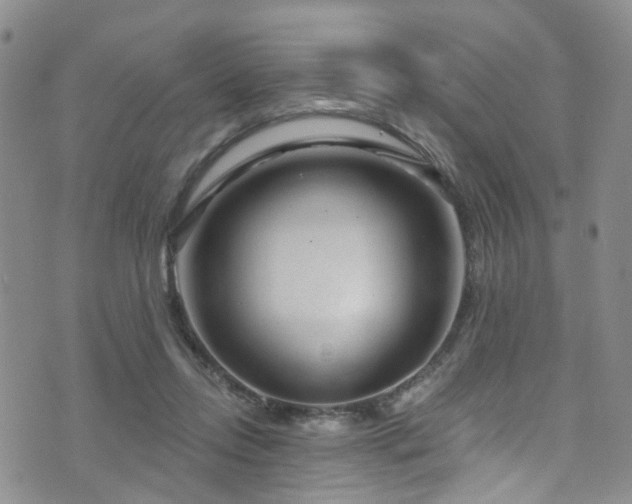 X0000073730358200608031335