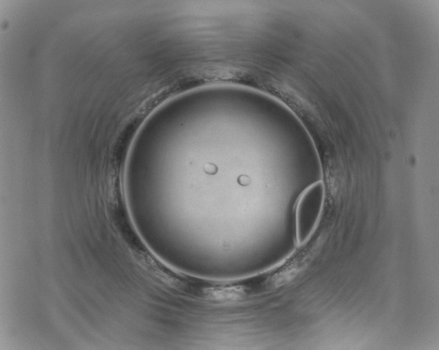 X0000073730359200608031335