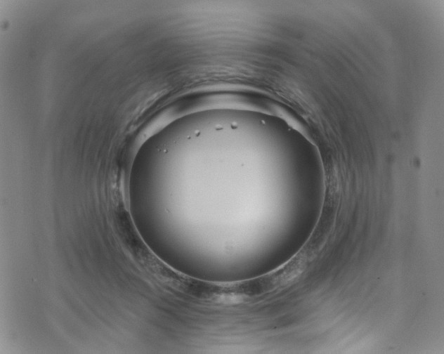 X0000073730360200608031335