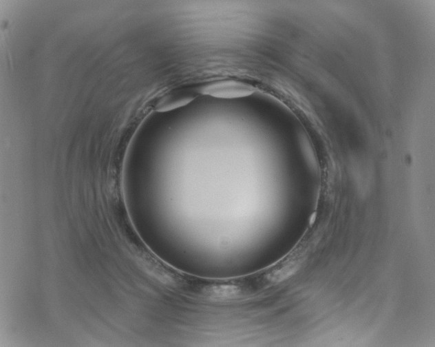 X0000073730361200608031335