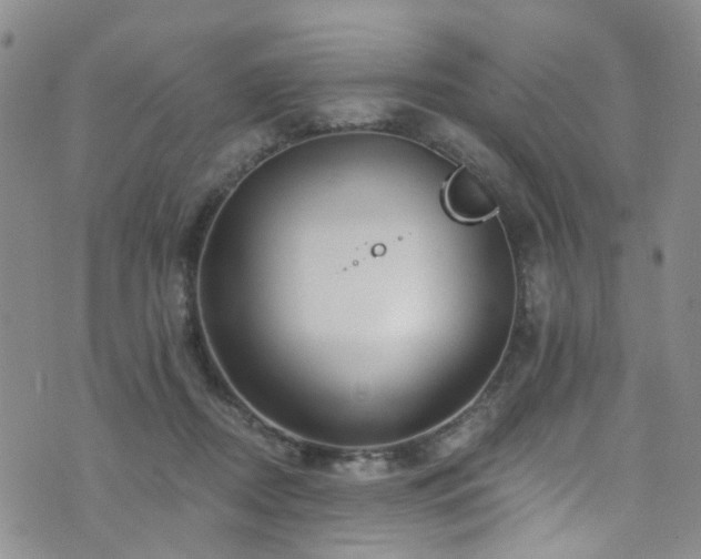 X0000073730362200608031335