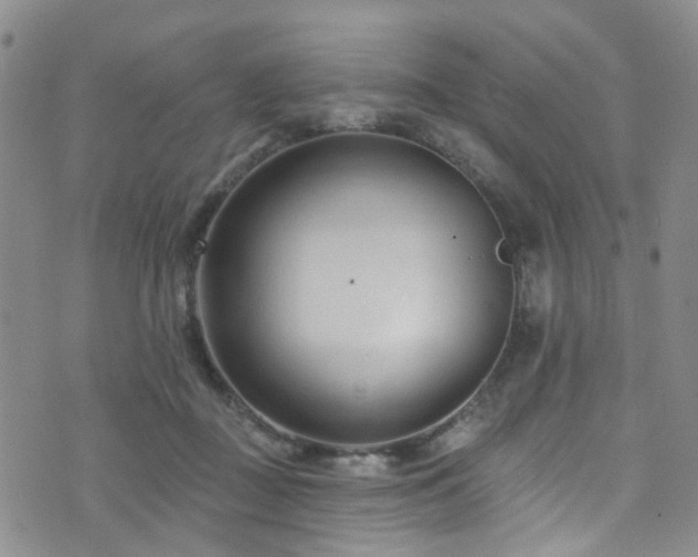 X0000073730363200608031335