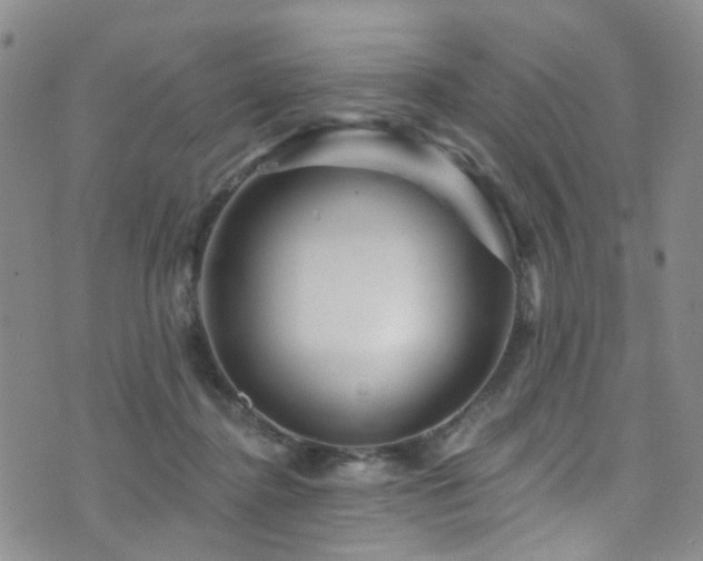 X0000073730364200608031335