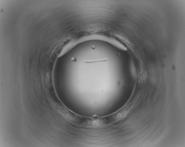 X0000073730365200608031335