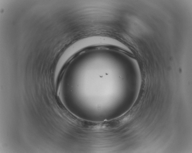 X0000073730366200608031335