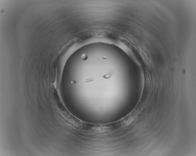 X0000073730367200608031335