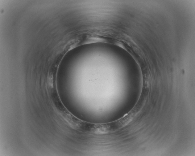 X0000073730368200608031335