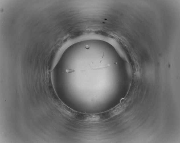 X0000073730369200608031335