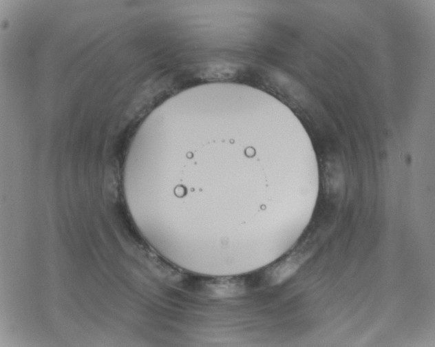 X0000073730370200608031335