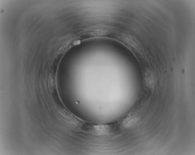 X0000073730371200608031335