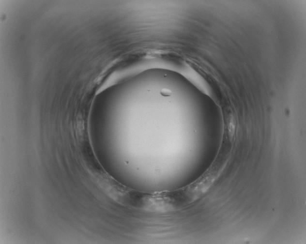 X0000073730372200608031335