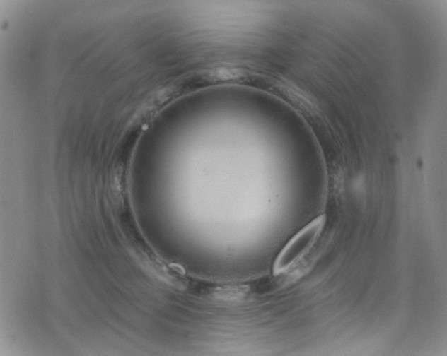 X0000073730373200608031335