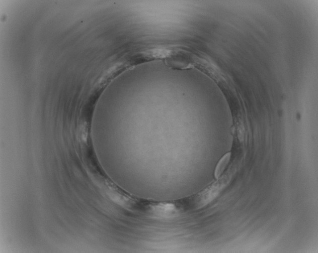 X0000073730374200608031335