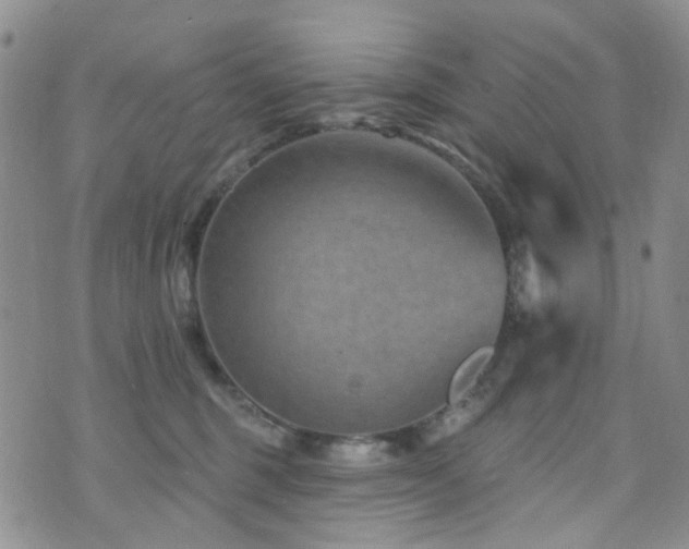 X0000073730375200608031336