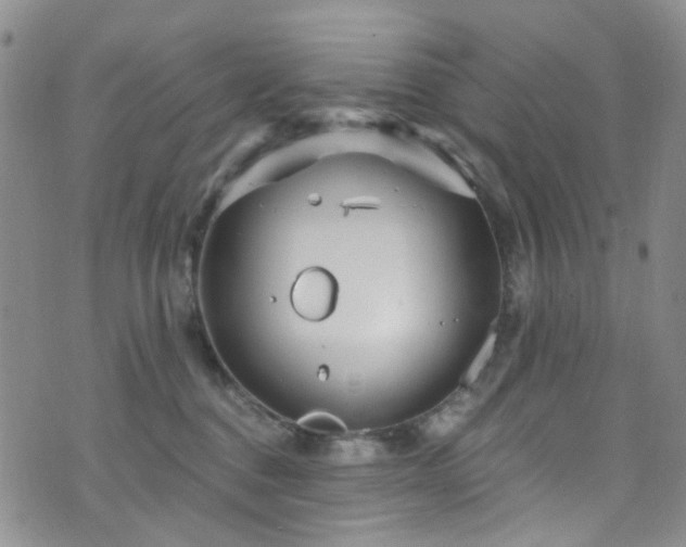 X0000073730376200608031336