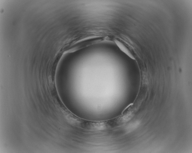 X0000073730377200608031336