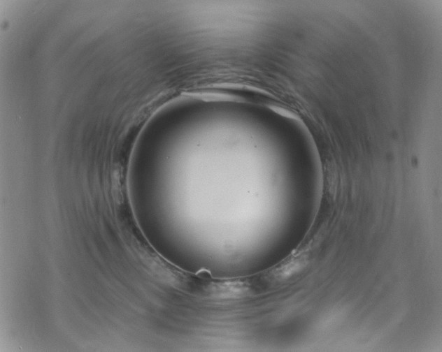 X0000073730378200608031336