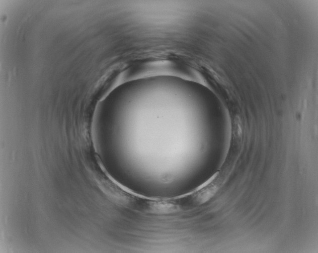 X0000073730380200608031336