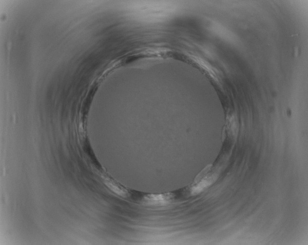 X0000073730381200608031336