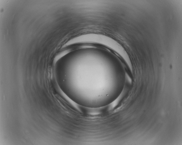 X0000073730382200608031336