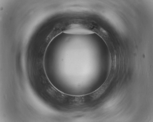 X0000073730383200608031336