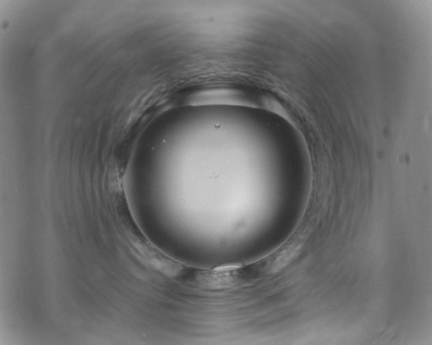 X0000073730384200608031336