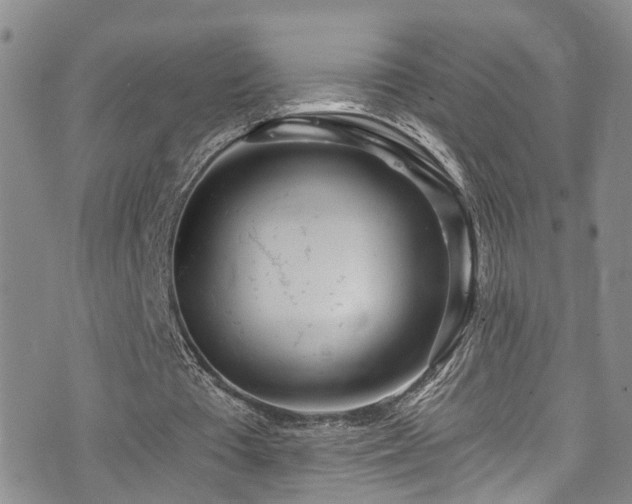 X0000073730385200608031335