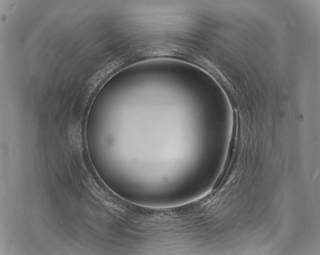 X0000073730386200608031335