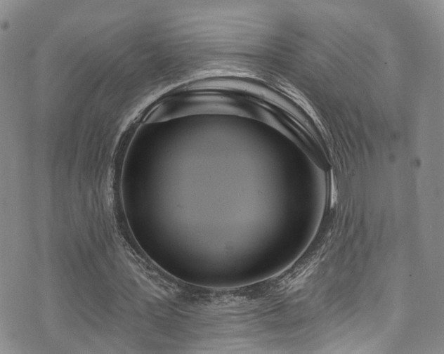 X0000073730387200608031335