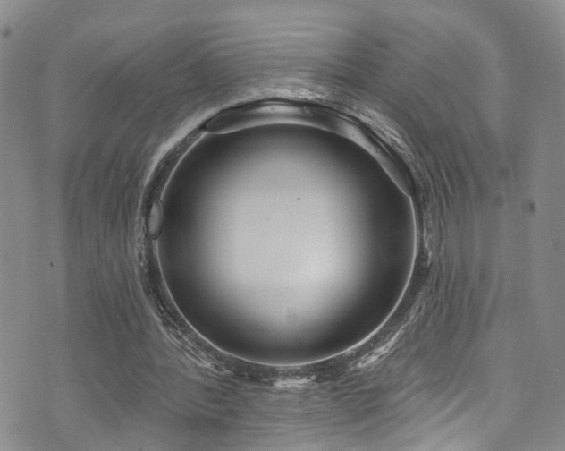 X0000073730388200608031335