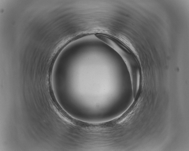 X0000073730389200608031335