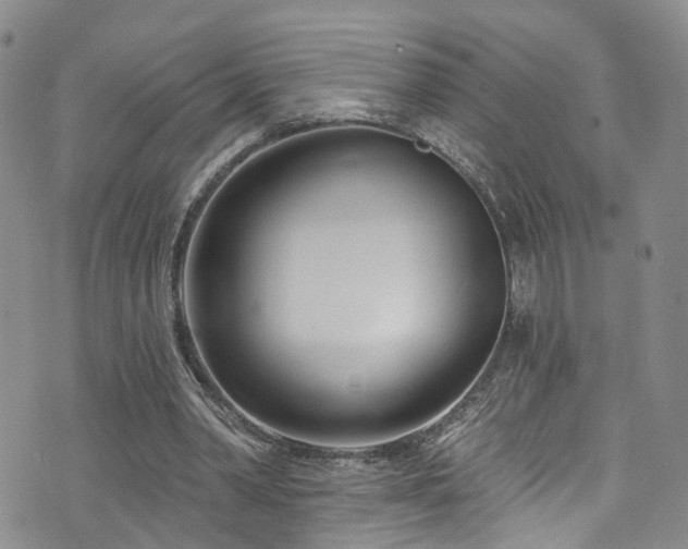 X0000073730390200608031335