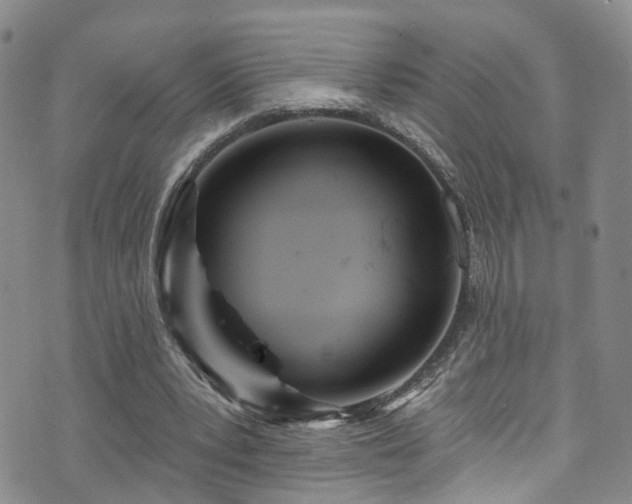 X0000073730391200608031335