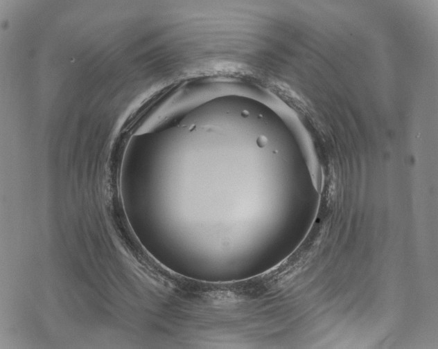 X0000073730392200608031335