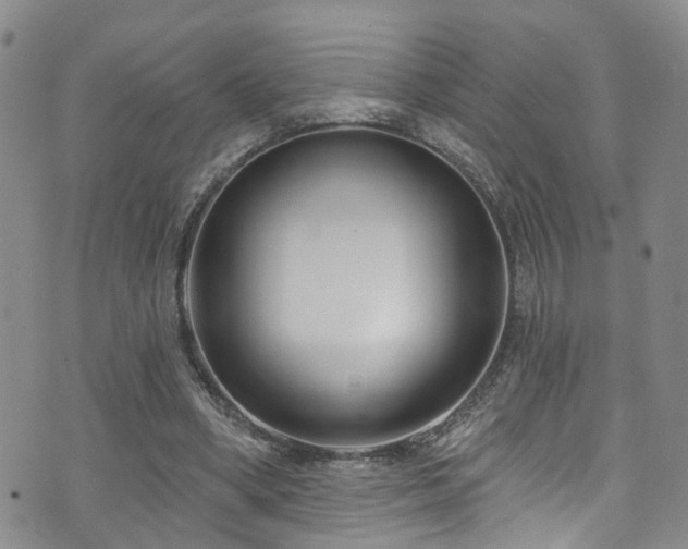 X0000073730394200608031335