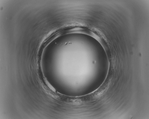 X0000073730395200608031335