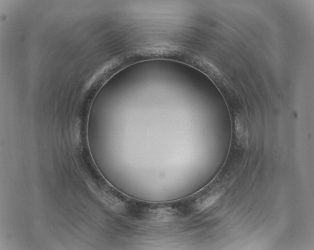 X0000073730396200608031335