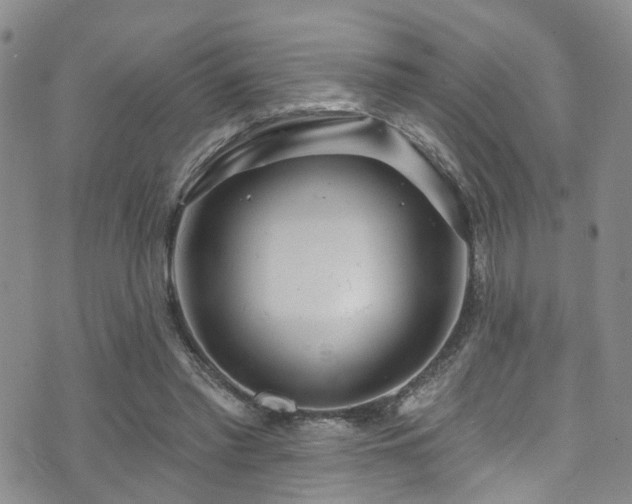 X0000073730397200608031335