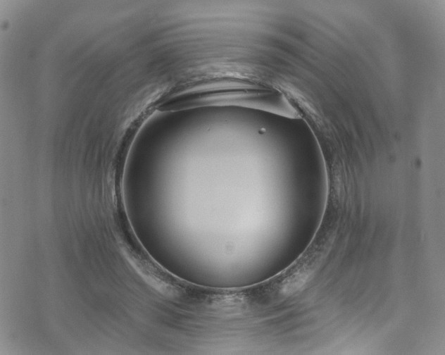 X0000073730398200608031335