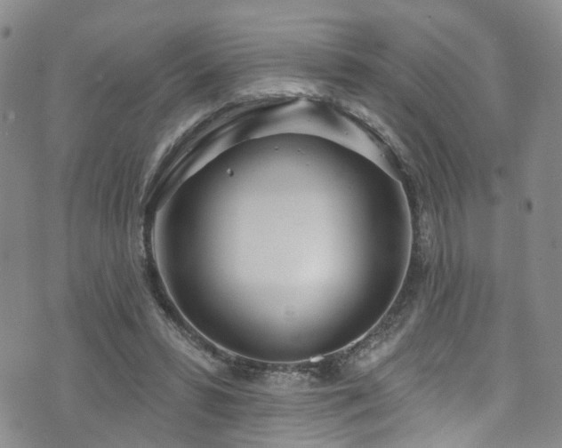 X0000073730399200608031335