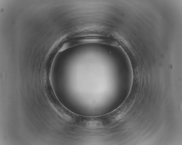 X0000073730400200608031335