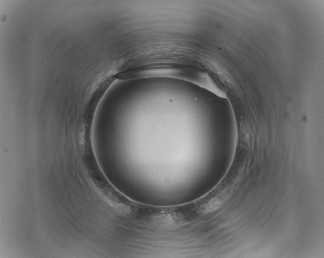 X0000073730404200608031335