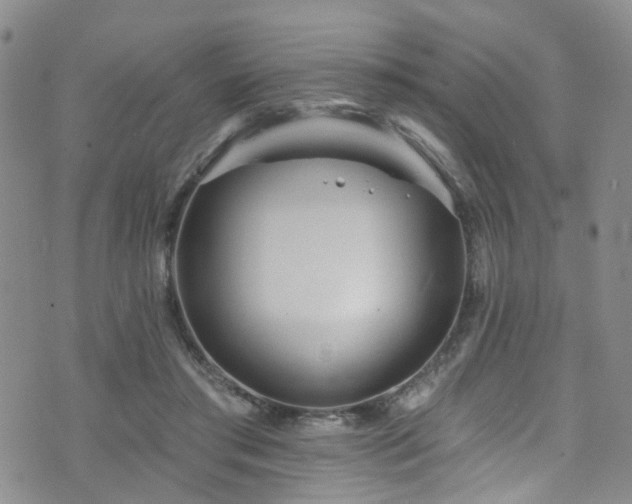 X0000073730405200608031335