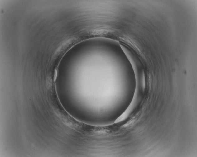 X0000073730407200608031335