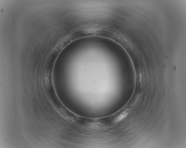 X0000073730408200608031334