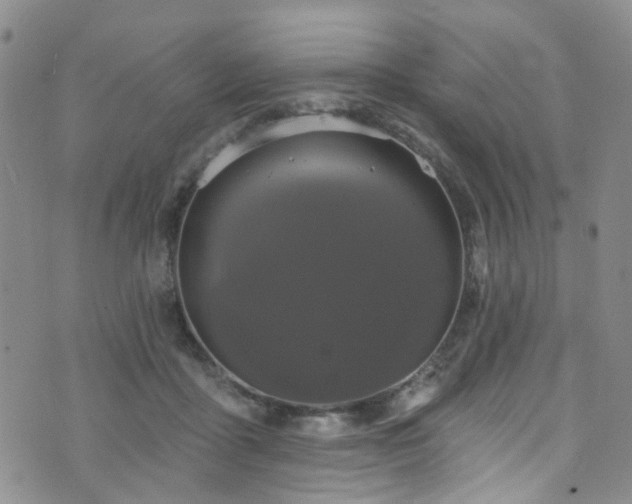 X0000073730411200608031334