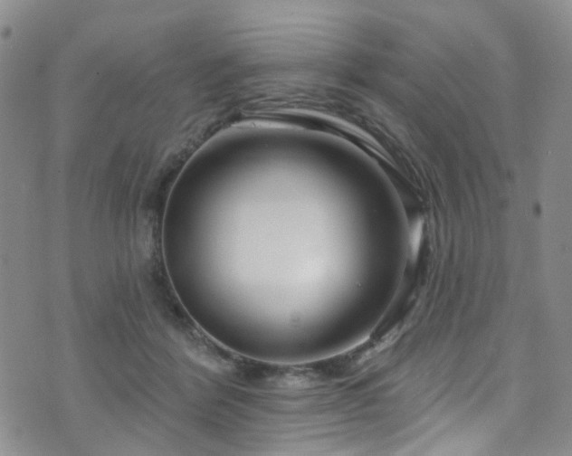 X0000073730412200608031334