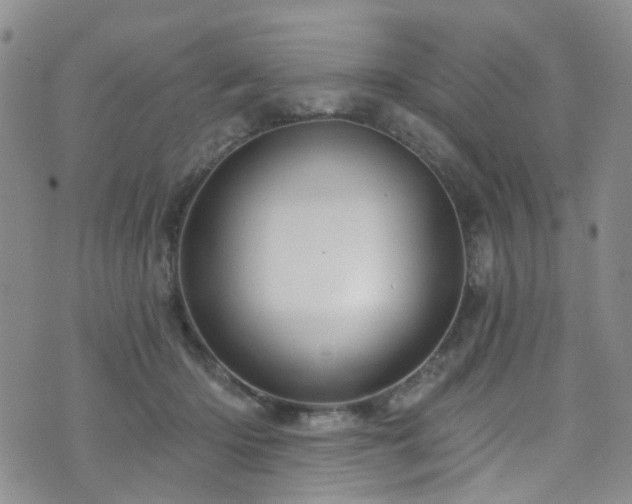 X0000073730414200608031334