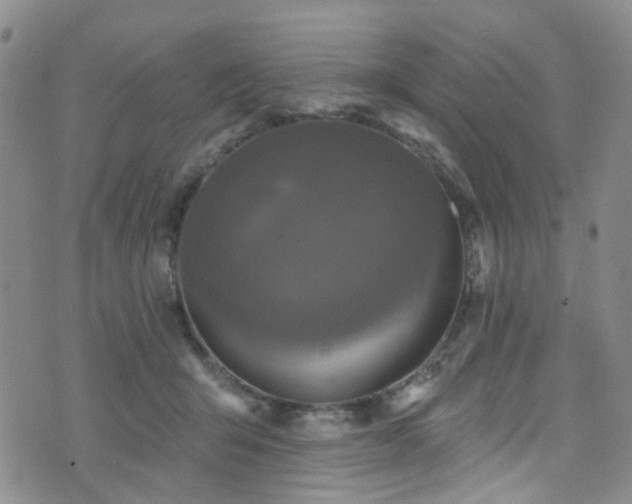 X0000073730415200608031334