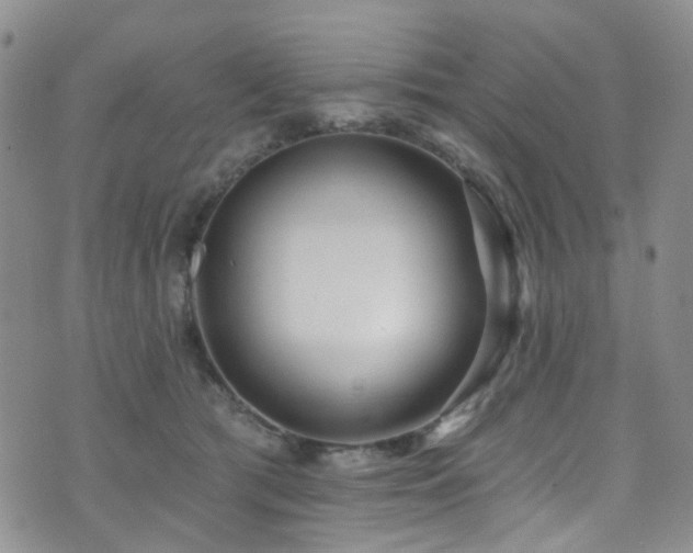 X0000073730417200608031334